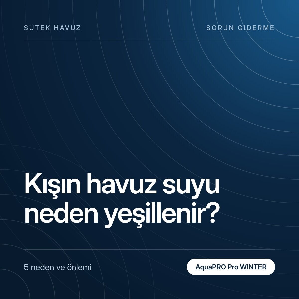 Kışın Havuz Suyu Neden Yeşillenir? 5 Neden ve Önlem