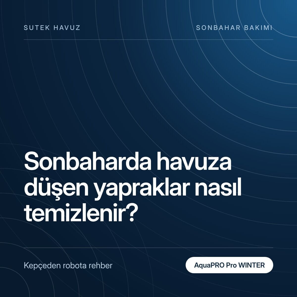 Havuza Düşen Yapraklar Nasıl Temizlenir? Sonbahar Rehberi